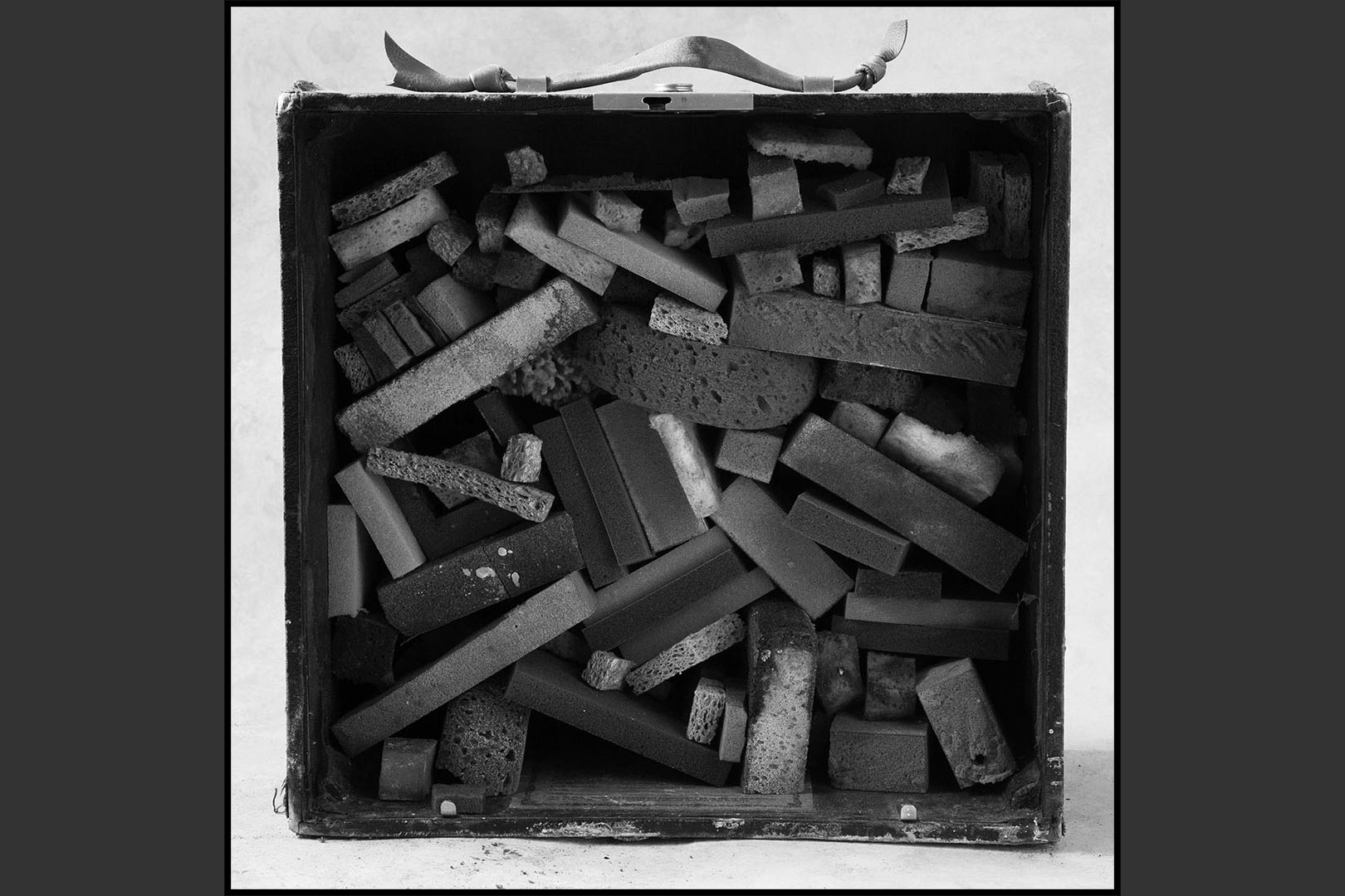 John Wilkins sponge boxes